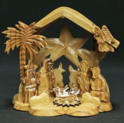 Star Back Grotto - Lens
