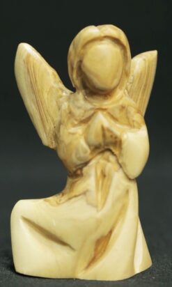 Plain Angel 2