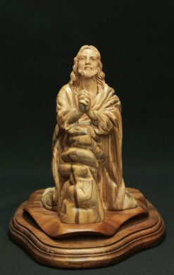 Jesus Prays on Rock
