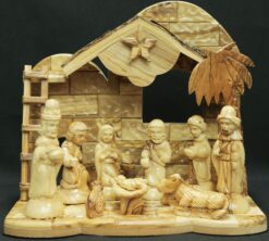 Ladder Grotto - Bark - Caved Set -Music - Small