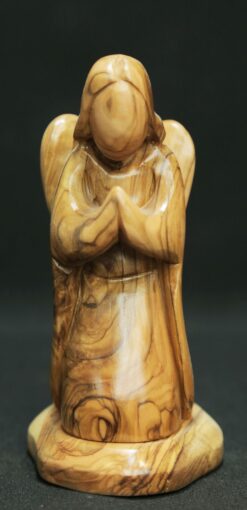 Angel Praying On Knees