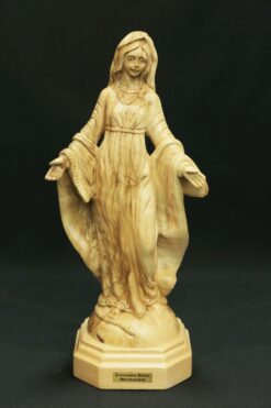 Virgin Mary Open Hands